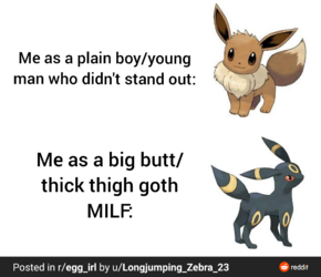 1654922416258.png
