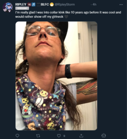 1654932905324.png