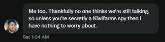 kiwi spy.jpg