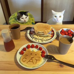 1653908533337.png