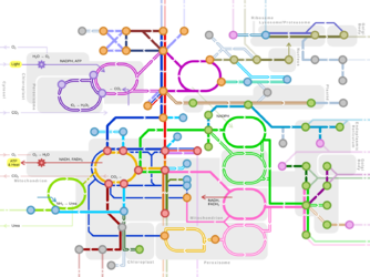 Metabolic_Metro_Map_(no_legends).svg.png