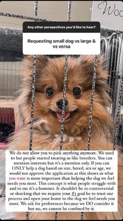 9F58F484-1B09-430A-9218-2AC264B66657.jpeg