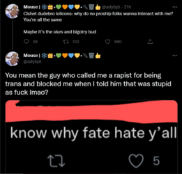 Stop the trans slurs.PNG