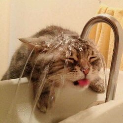 morning_picdump-18-3.jpg