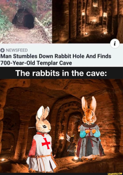 1655042176515.png