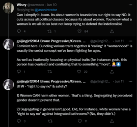 Feminist here.PNG