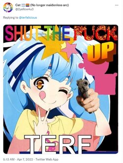 TRAsGunMemes.jpg