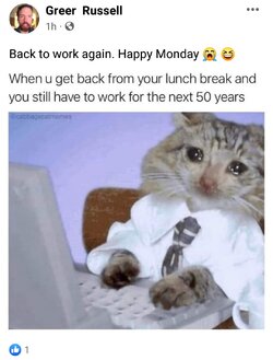 Screenshot_20220613-181848_Facebook.jpg