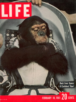 CHIMPS IN SPAAAAAACE.jpg