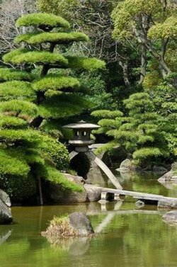 th (4).jpg