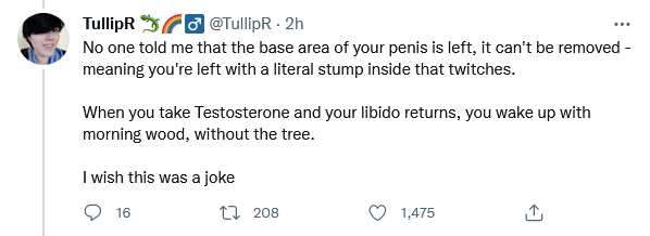 Screenshot TullipR on Twitter.png