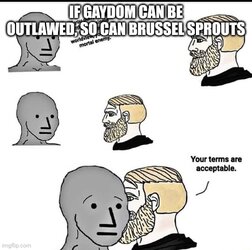6jl8p8.jpg