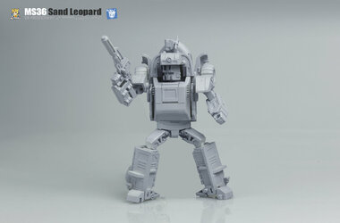 Magic-Square-MS-36-Sand-Leopard-05.jpg