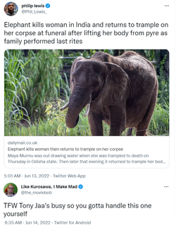 elephant.png
