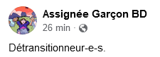 Screenshot 2022-06-14 at 17-51-04 Assignée Garçon BD.png