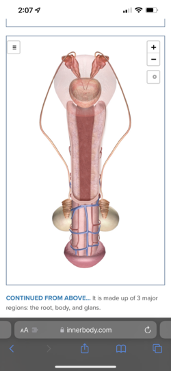 06EC130D-9E54-49C6-BE68-247AC4B59BF8.png