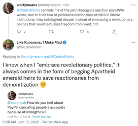 musk2.png