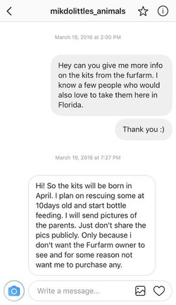 Admitting to buying foxes 2.JPG