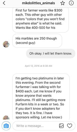 Admitting to buying foxes.JPG