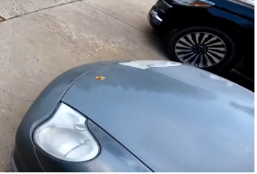 saf-porsche.png