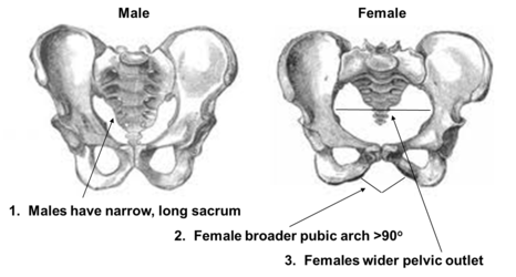 a43c8b1939a47d7025886d7bfcfdce09.png