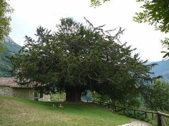 800px-Texu.jpg