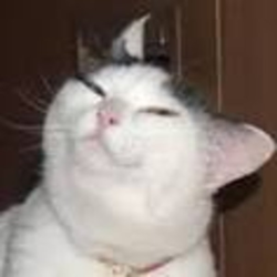 1655367155566.png