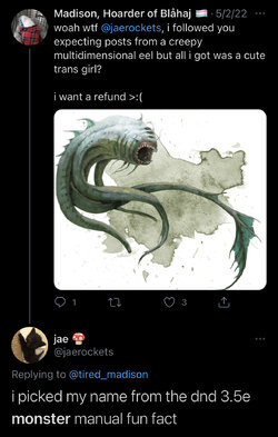 61C62B8F-5A2C-45FD-83C5-597E9B300CFA.jpeg