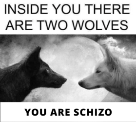 Untitled12_20220617001229.png