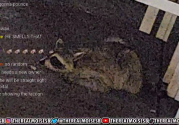 1655436070047.png