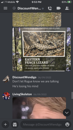 DM2.png