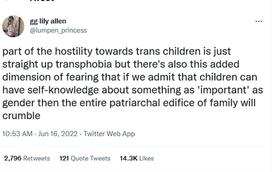 2022-06-17 11_11_34-gg lily allen on Twitter_ _part of the hostility towards trans children is...png