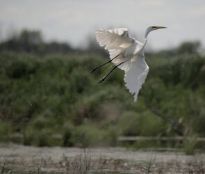 DSC_7630.jpg