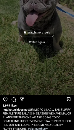 Screenshot_20220617-182859~2.png