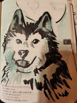 20220617_223150.jpg