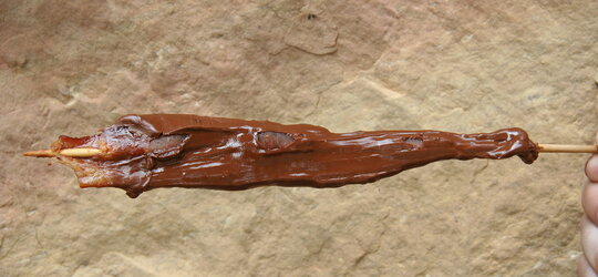 ChocolateCoveredBaconStick.jpg