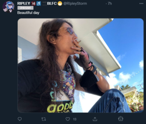 1655594300075.png