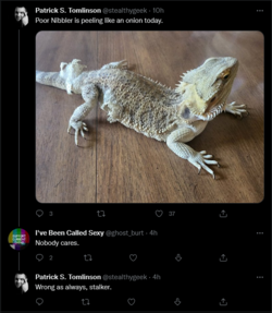 faggotlizard.png