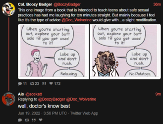 screencapture-nitter-net-acekatt-status-1538551271946440704-2022-06-19-13_05_41.png