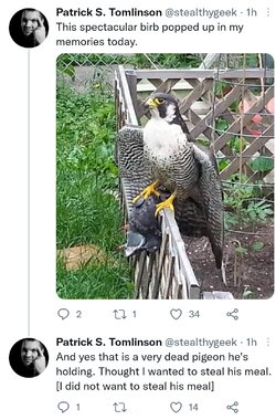 Screenshot_20220619-100434_Twitter.jpg