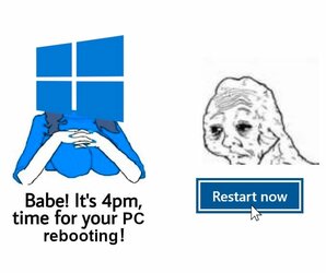 windowpoos_will_defend_this.jpg