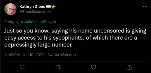 Screenshot 2022-06-20 at 00-54-50 Kathryn Gibes 🏳️‍⚧️✨ on Twitter.png
