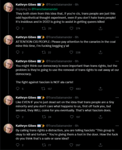Screenshot 2022-06-20 at 00-57-11 Kathryn Gibes 🏳️‍⚧️✨ on Twitter.png