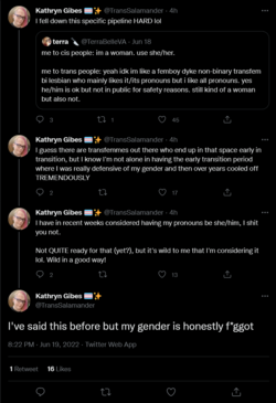 Screenshot 2022-06-20 at 00-59-12 Kathryn Gibes 🏳️‍⚧️✨ on Twitter.png