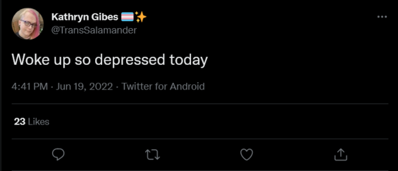 Screenshot 2022-06-20 at 01-01-04 Kathryn Gibes 🏳️‍⚧️✨ on Twitter.png