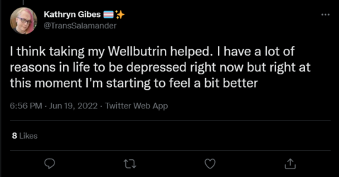 Screenshot 2022-06-20 at 01-01-11 Kathryn Gibes 🏳️‍⚧️✨ on Twitter.png