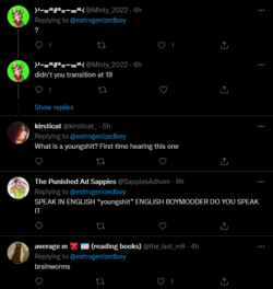 Screenshot 2022-06-19 at 22-39-53 (formaly) estrogenized boy on Twitter.png