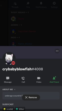 Screenshot_20220620-032846_Discord.jpg