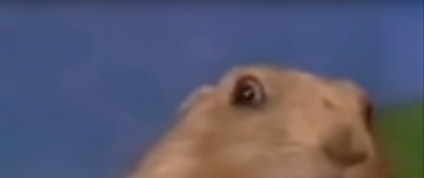 fuuu.png