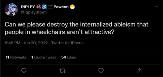 Screenshot 2022-06-21 at 02-47-20 RIPLEY 🔞♿️ 🔜Pawcon 😷 on Twitter.png